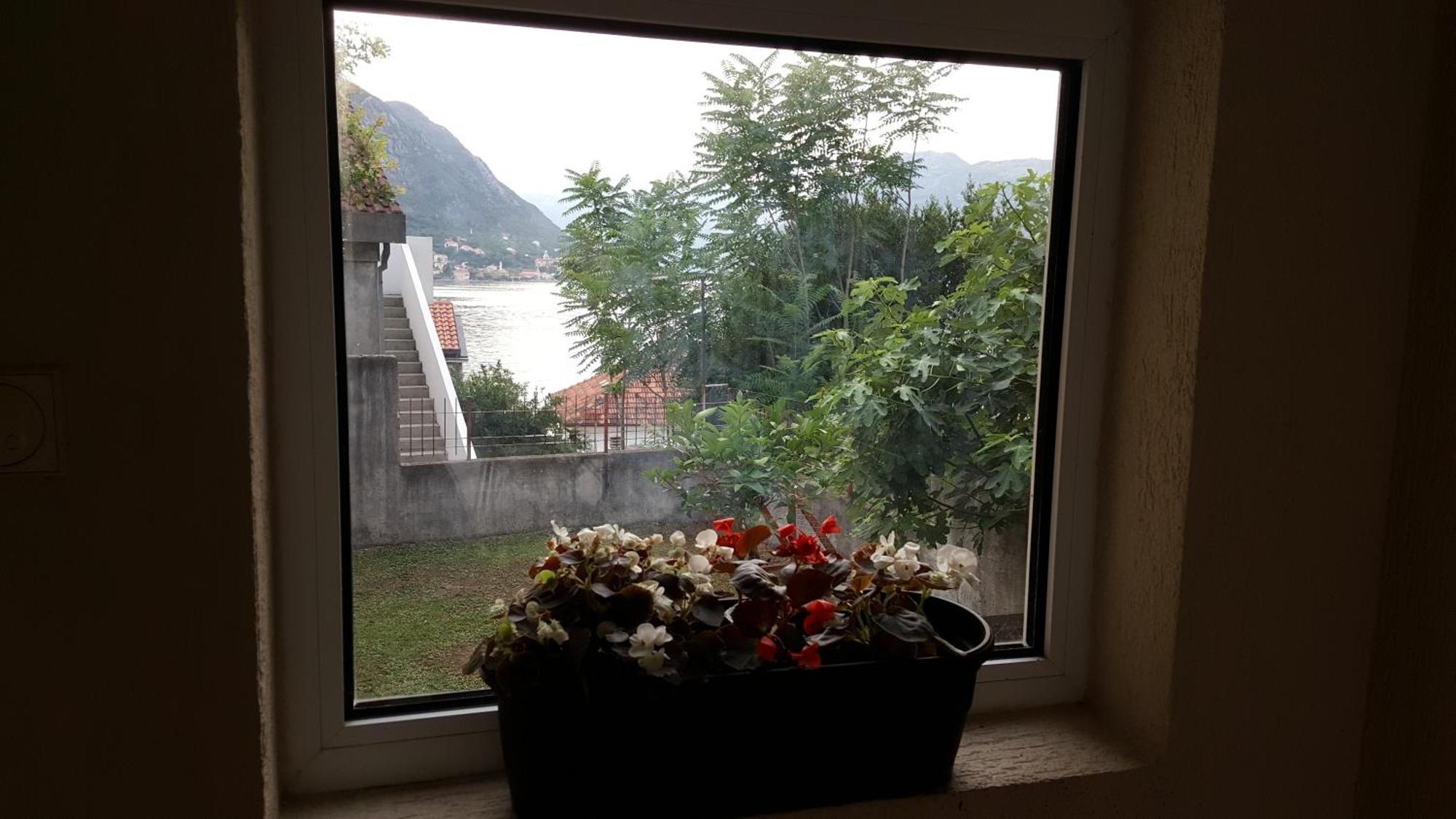 Apartments 101 科托尔 客房 照片